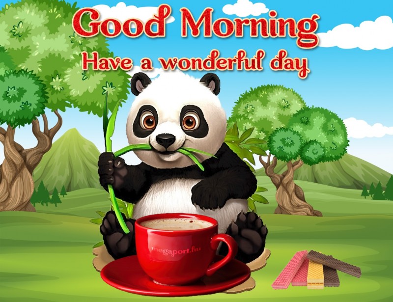 Wonderful day